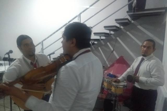 Música en vivo
