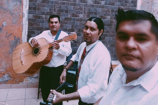 Músicos profesionales