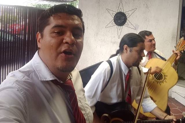 Voces en vivo