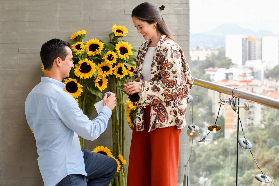 Propuesta de matrimonio