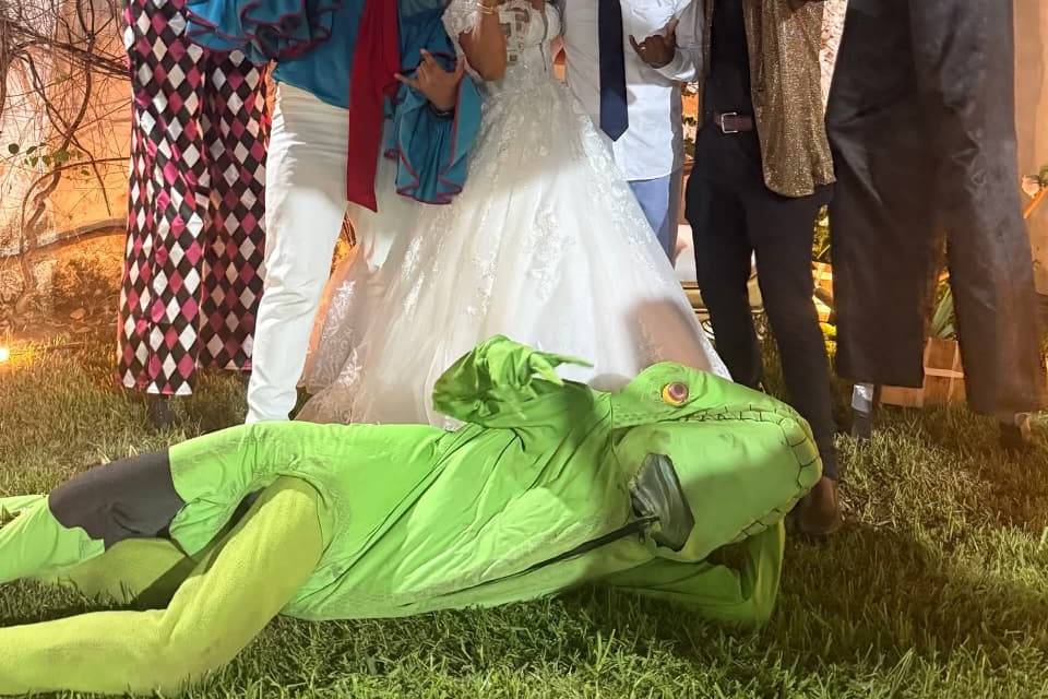 Animación boda