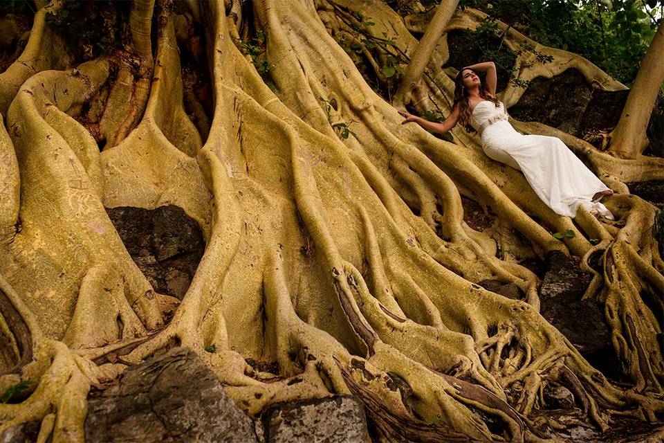 Trash the dress