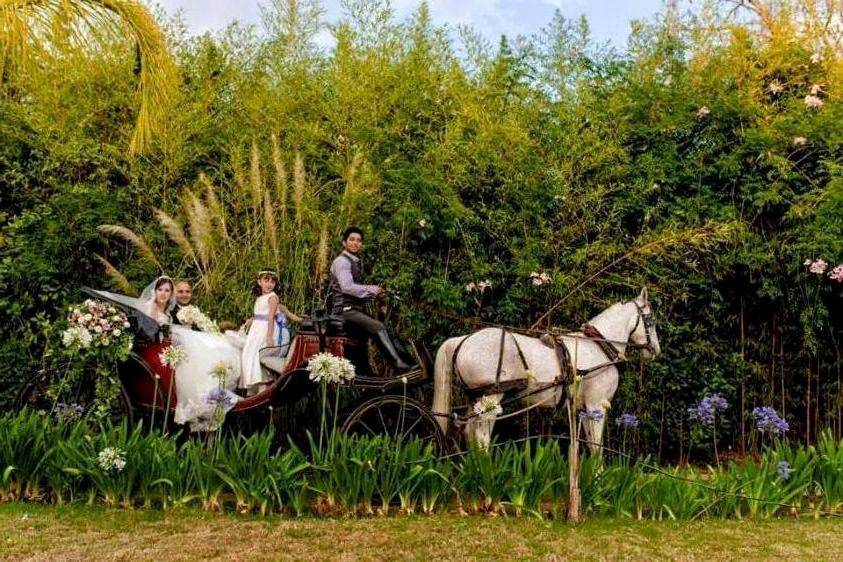 Recuerdo de una bella boda