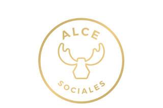 ALCE - Sociales