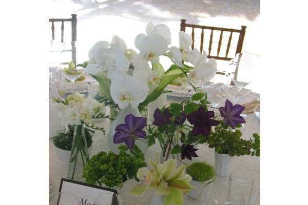 Flores y Orquídeas Distribuidora