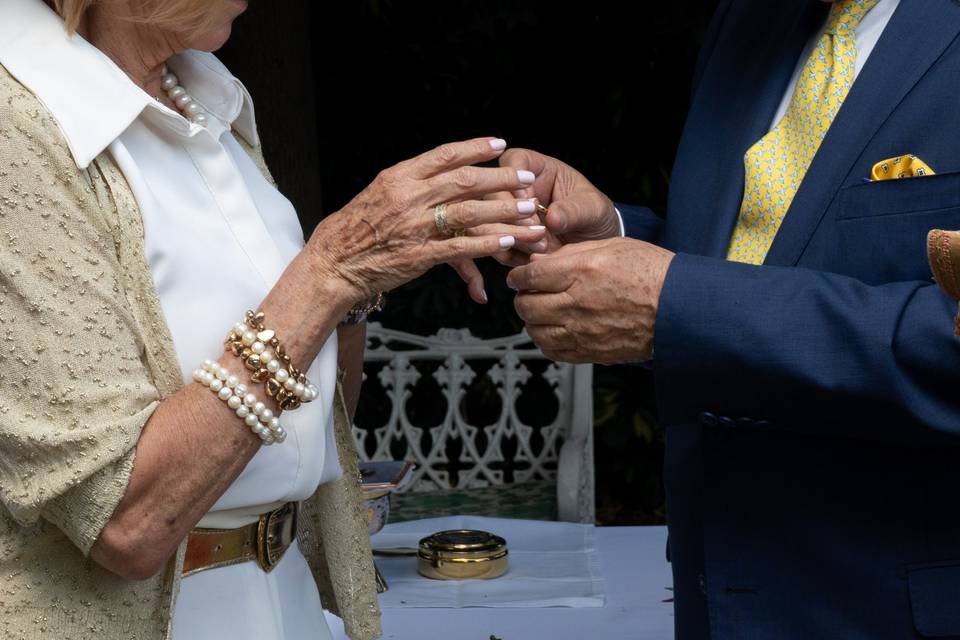Bodas de Oro G&P