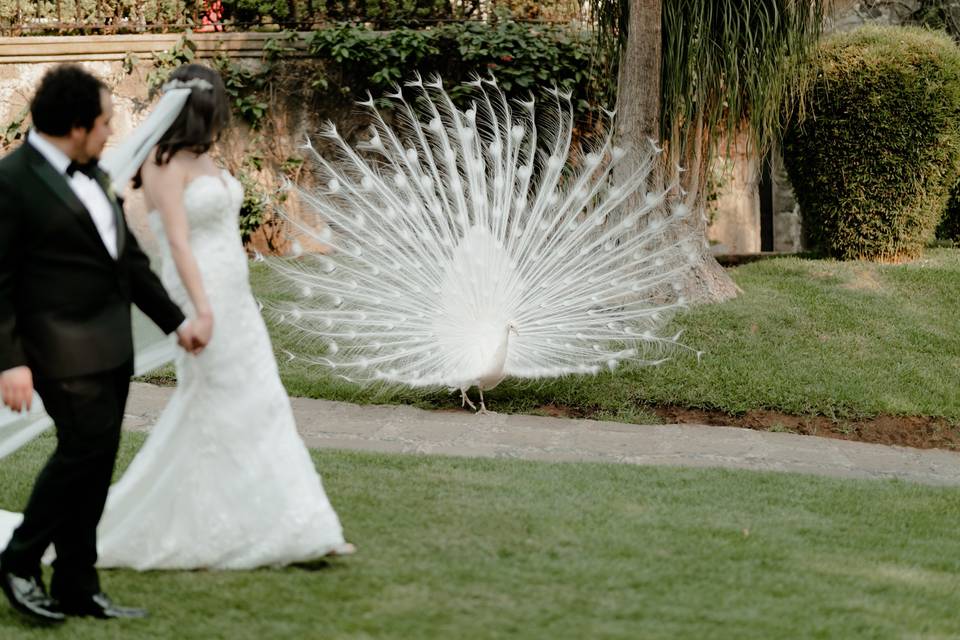 Las bodas más chulas