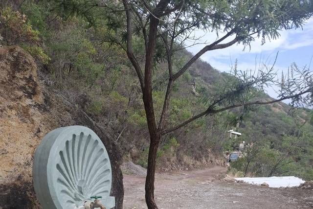 Área cascos