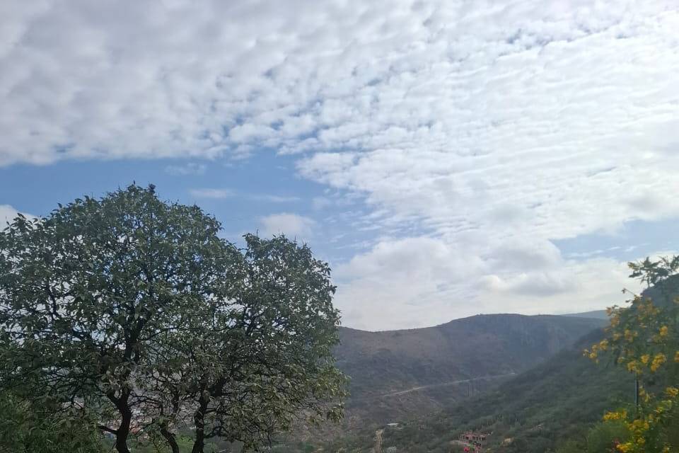 Mirador