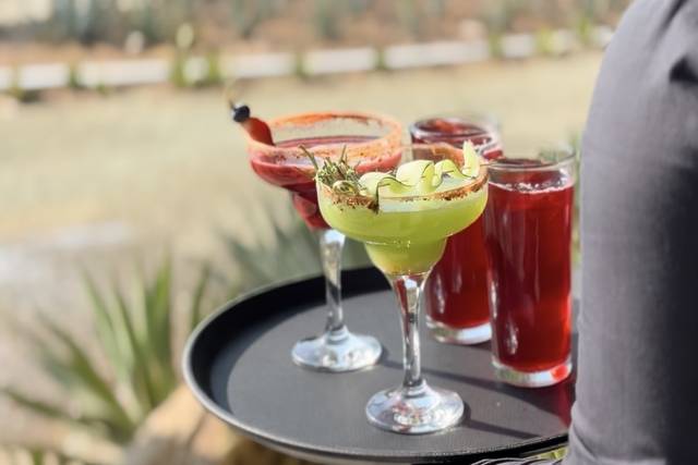 Coctel