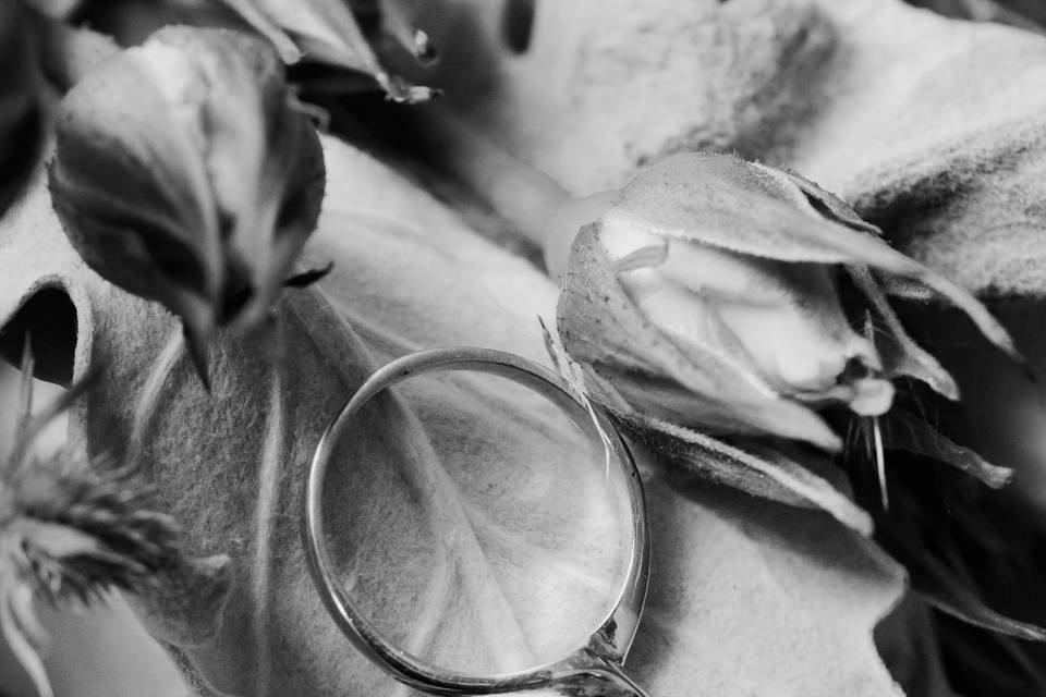 Getting ready | Accesorios