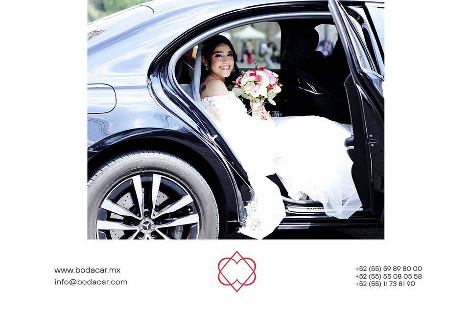 Fernanda & Diego XV.IX.MMXXVI