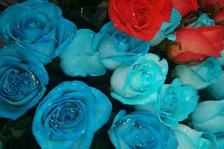 Las Tres Rosas