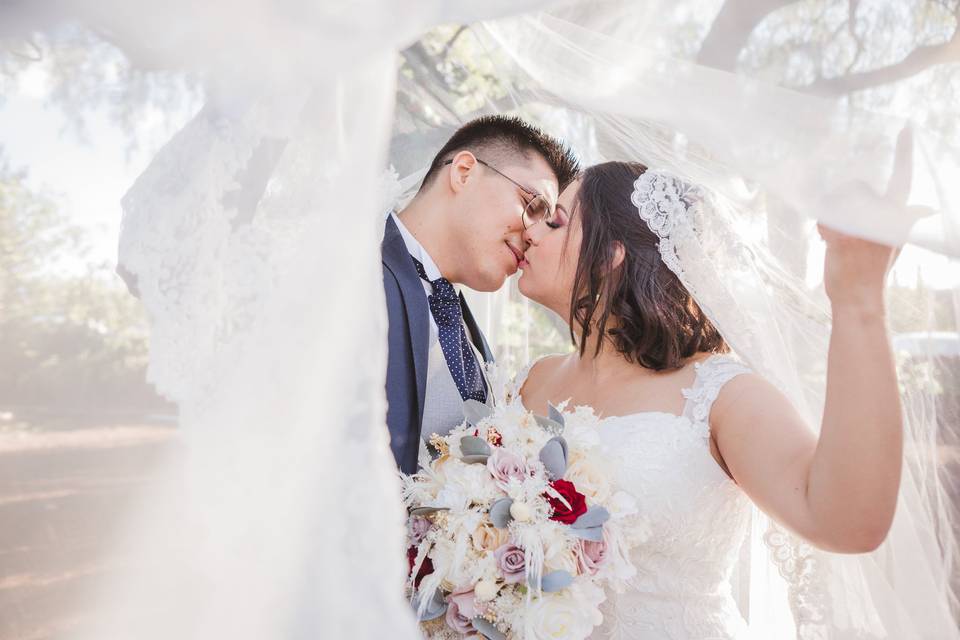 Recién casados dándose un beso bajo el velo de novia