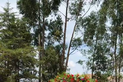 H. La estancia