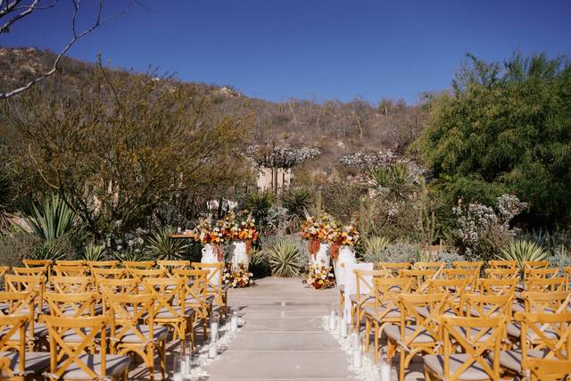 Chic Ceremony