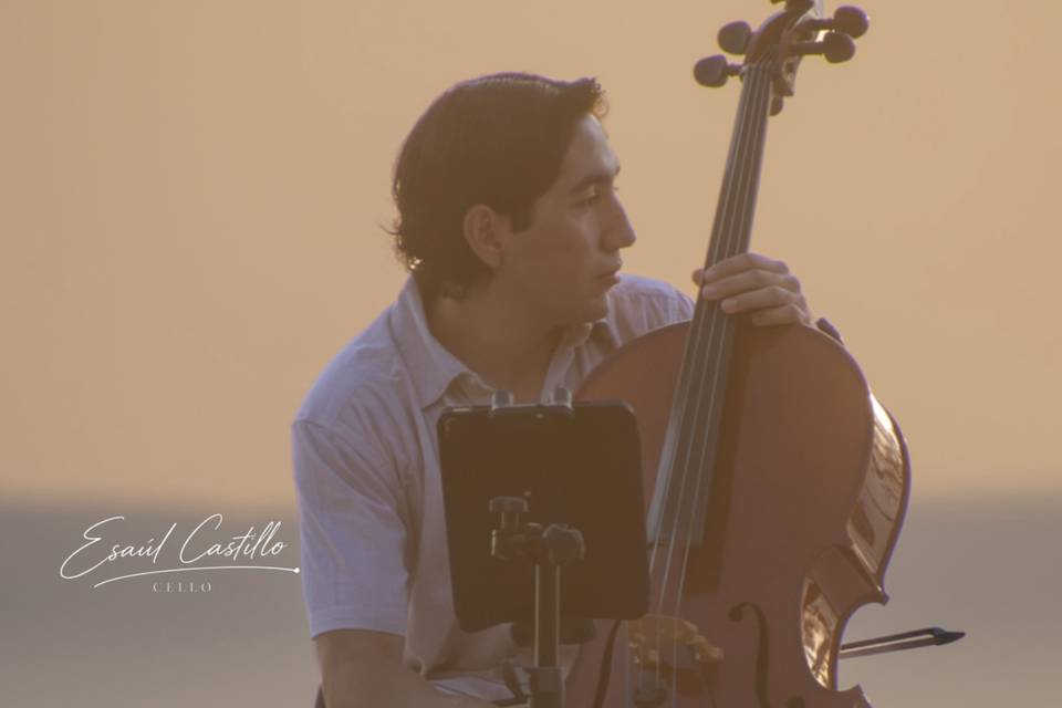 Momentos llenos de magia.