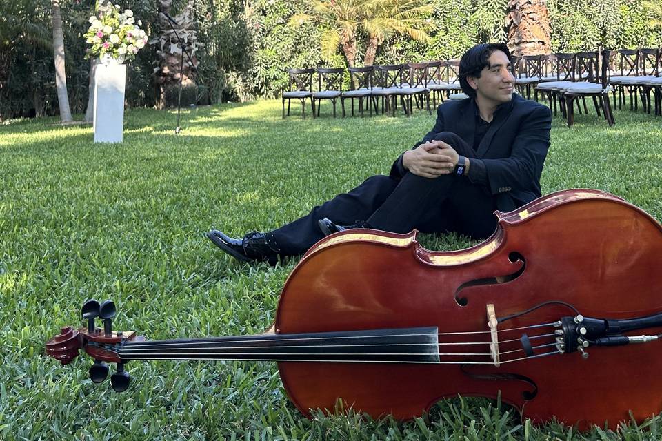 Emoción hecha música.
