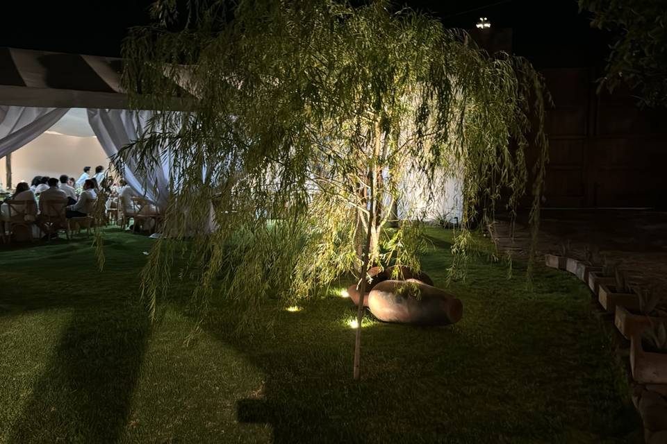 Jardín de noche