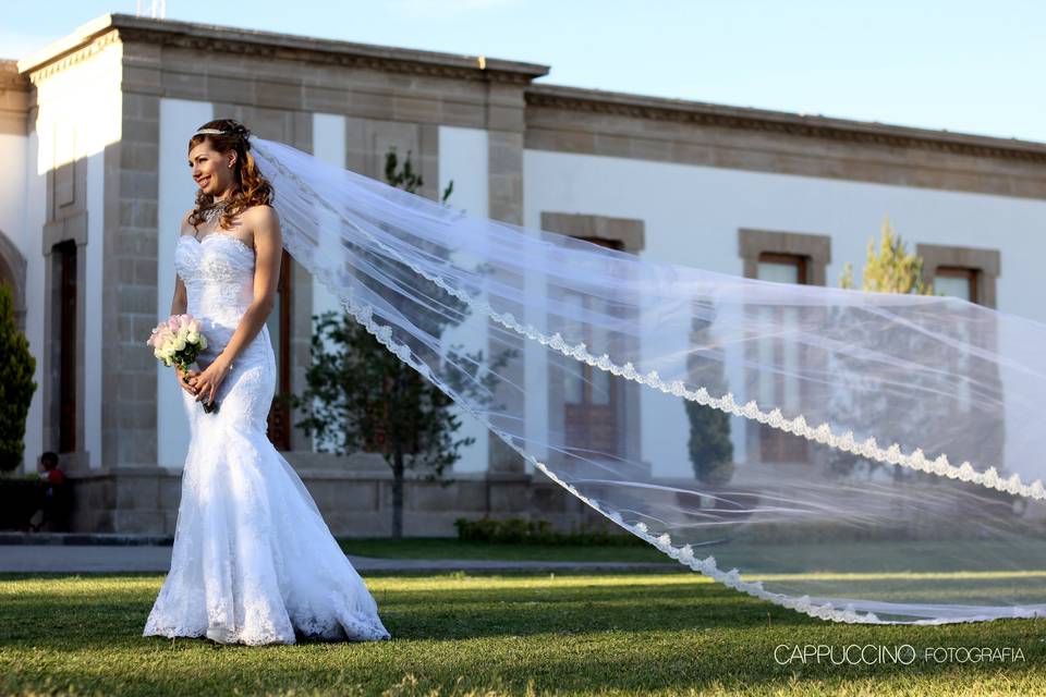 Novia y velo