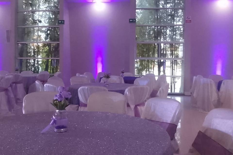 Iluminación perimetral salón T