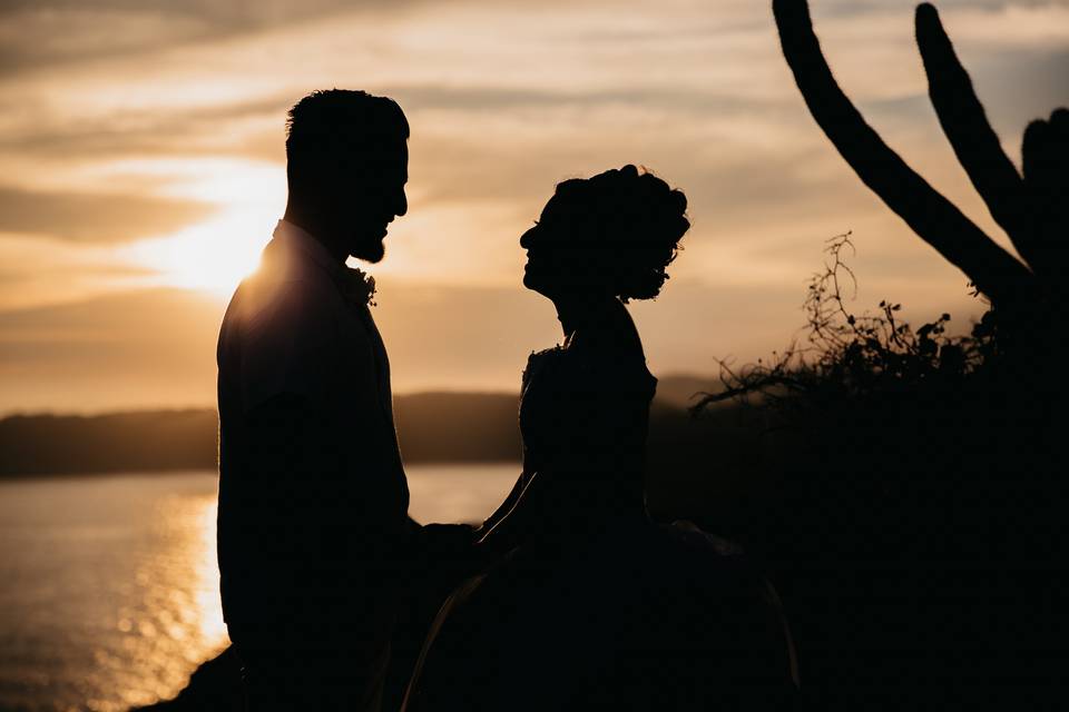 Novios