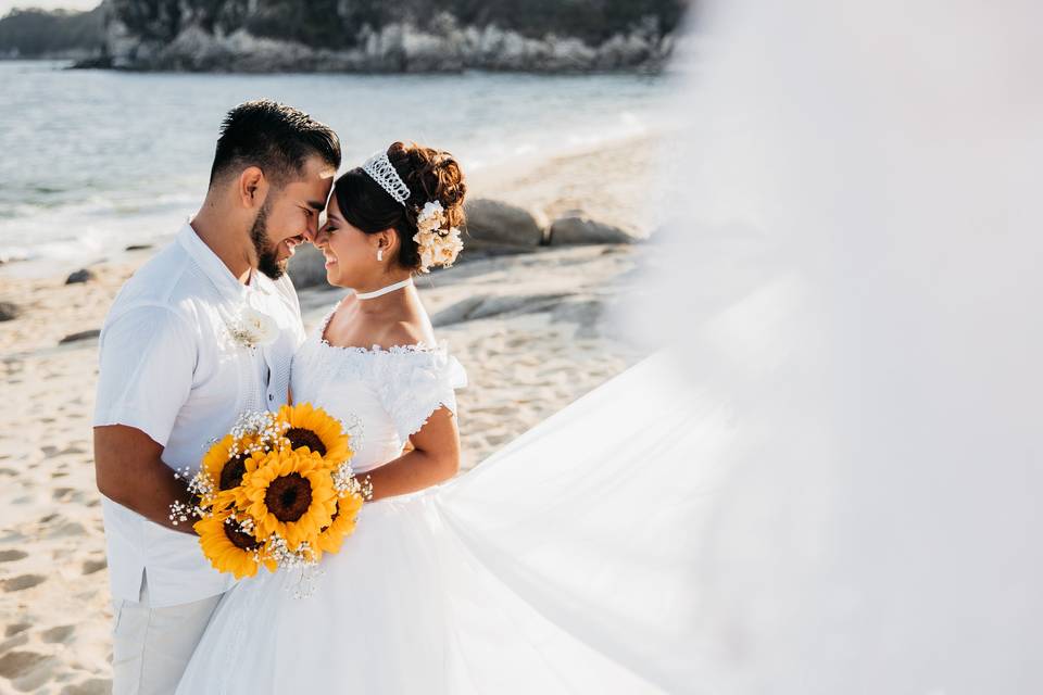 Novios
