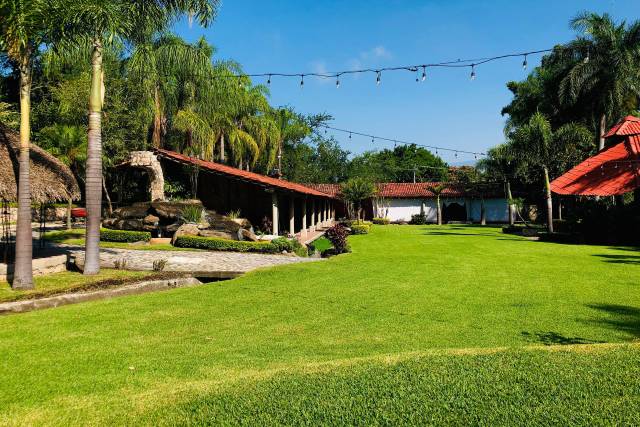 Jardin