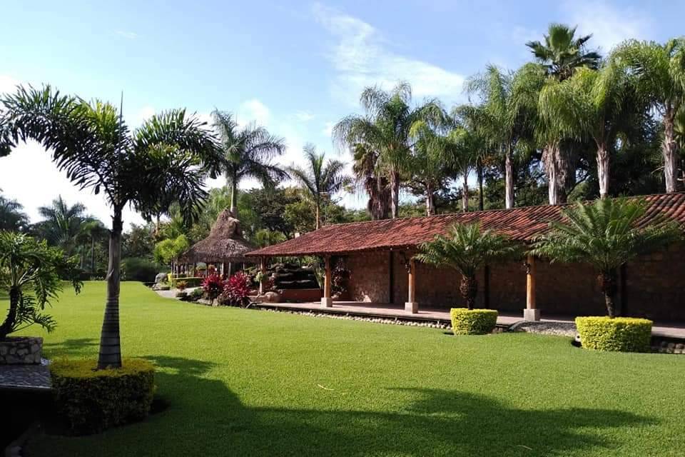 Jardín con palmeras y área techada