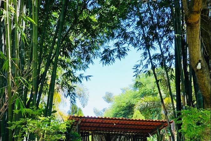 Pergola