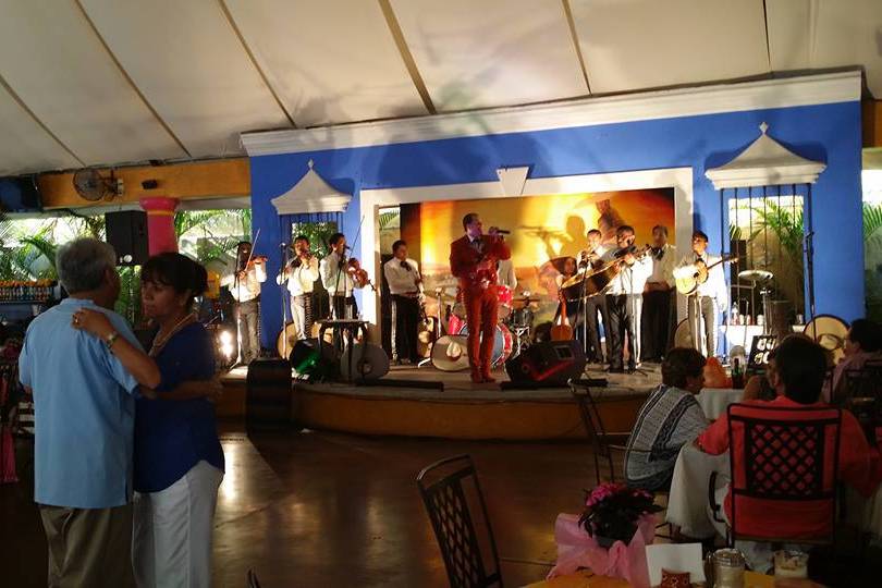 Bandas en vivo