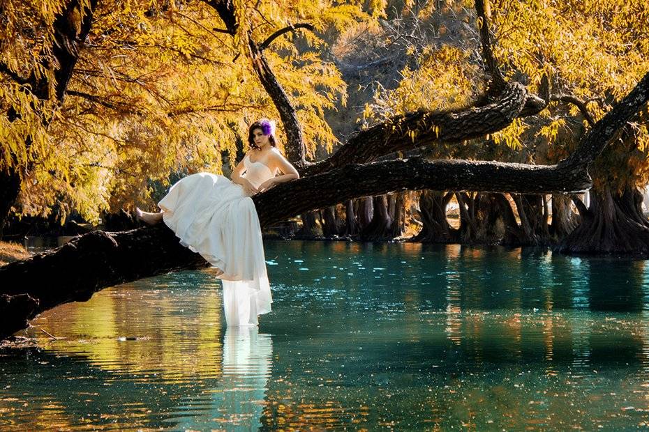 Trash the dress