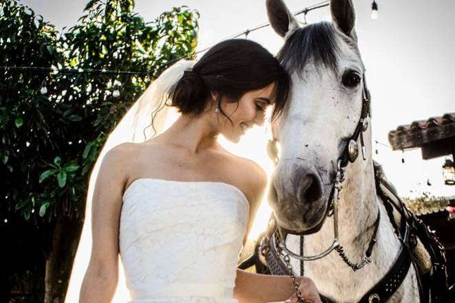 Boda en Tequila, Jalisco.