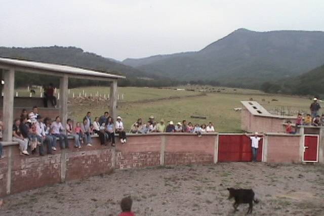 Ambiente campirano