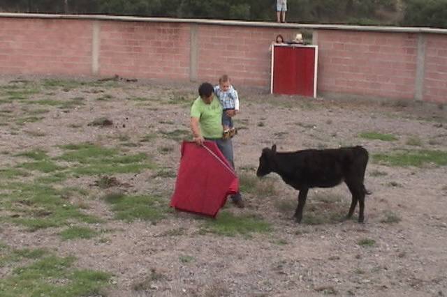 Vaquillas para torear