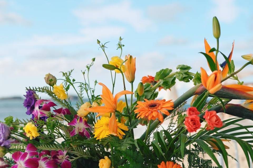 Flores