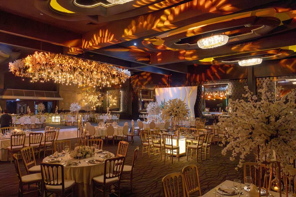 Salones Brossiana y Galeza