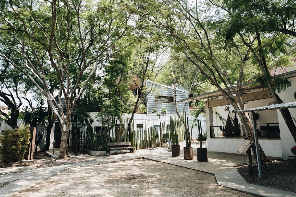 Patio frontal