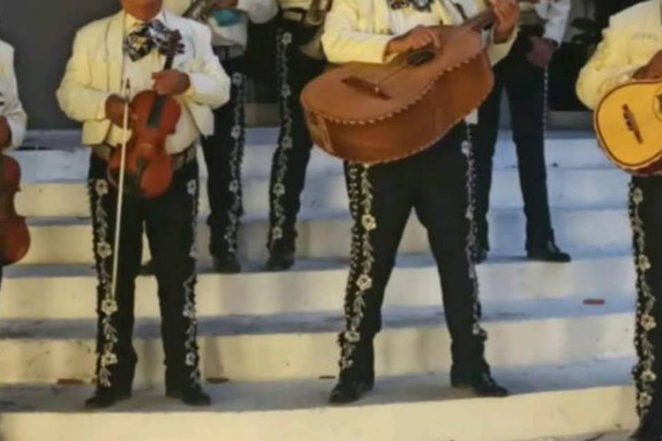 Mariachi