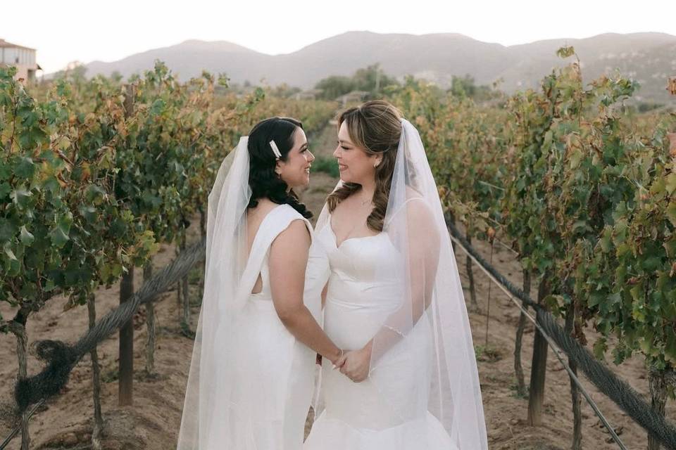 Boda Alex & Yvonna