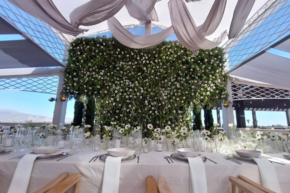 Boda Gaby & Marcos