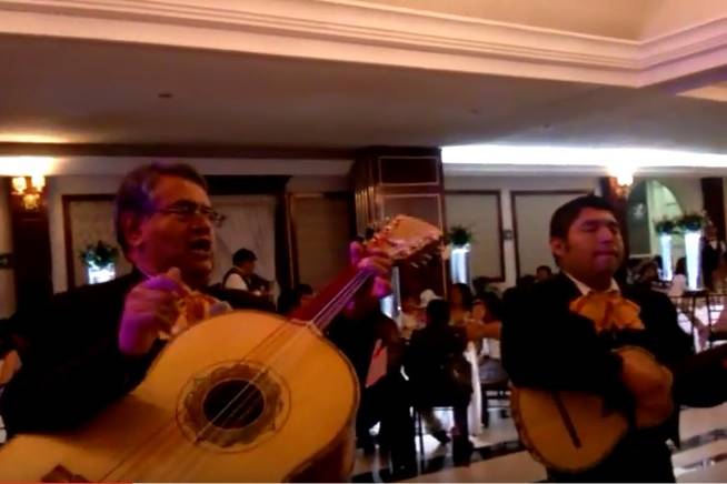 Mariachi El Color de México