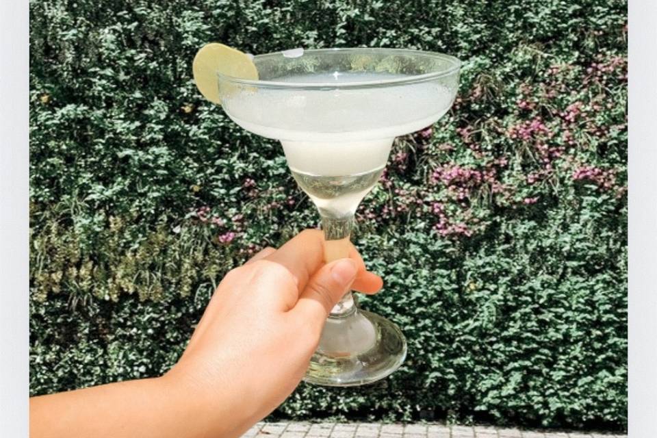 Daiquiri