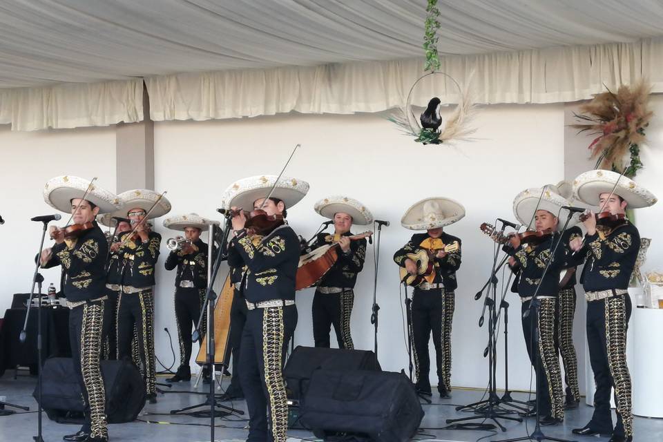 Mariachi