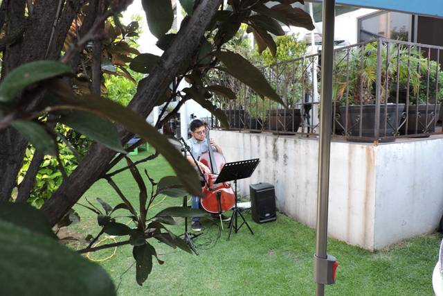 Only Cello
