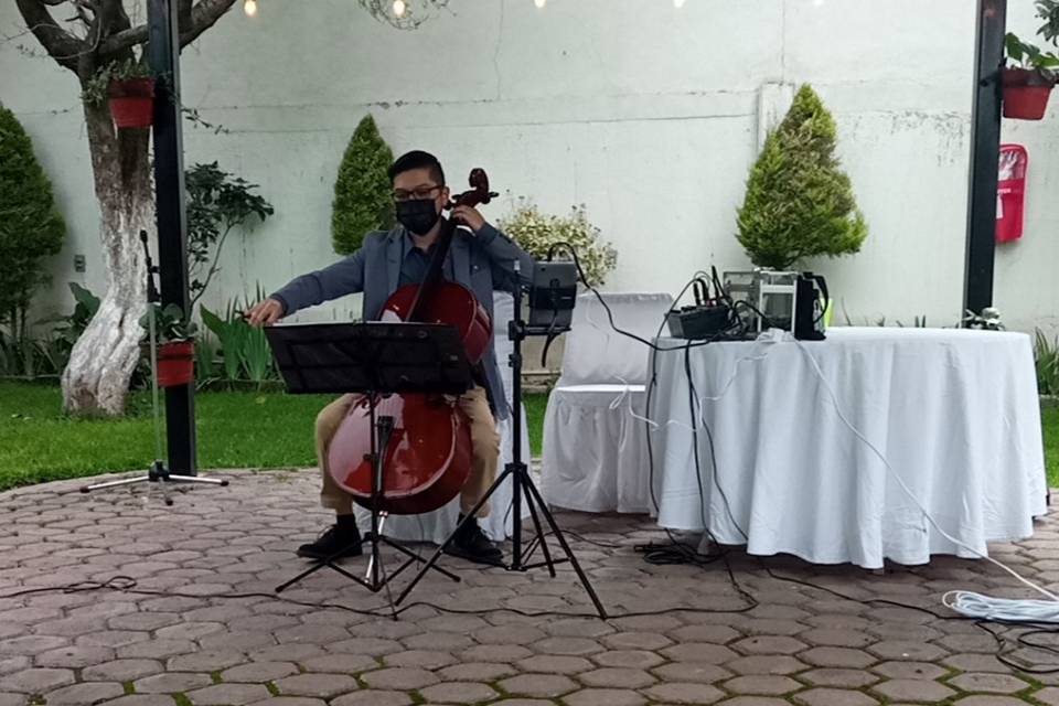 Only Cello México