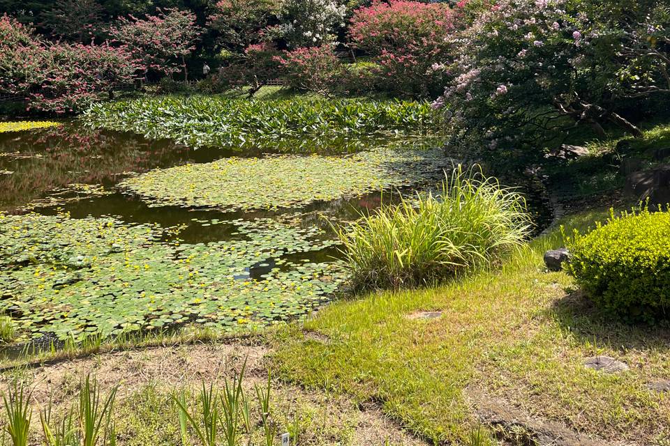 Jardines increíbles