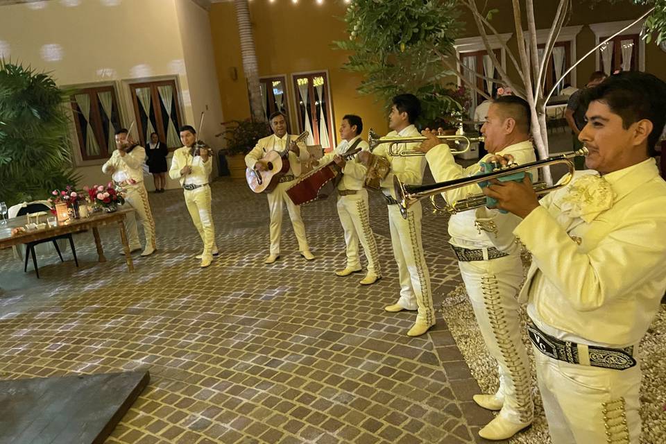 Mariachis