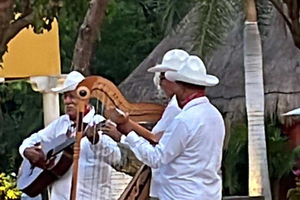 Trío jarocho