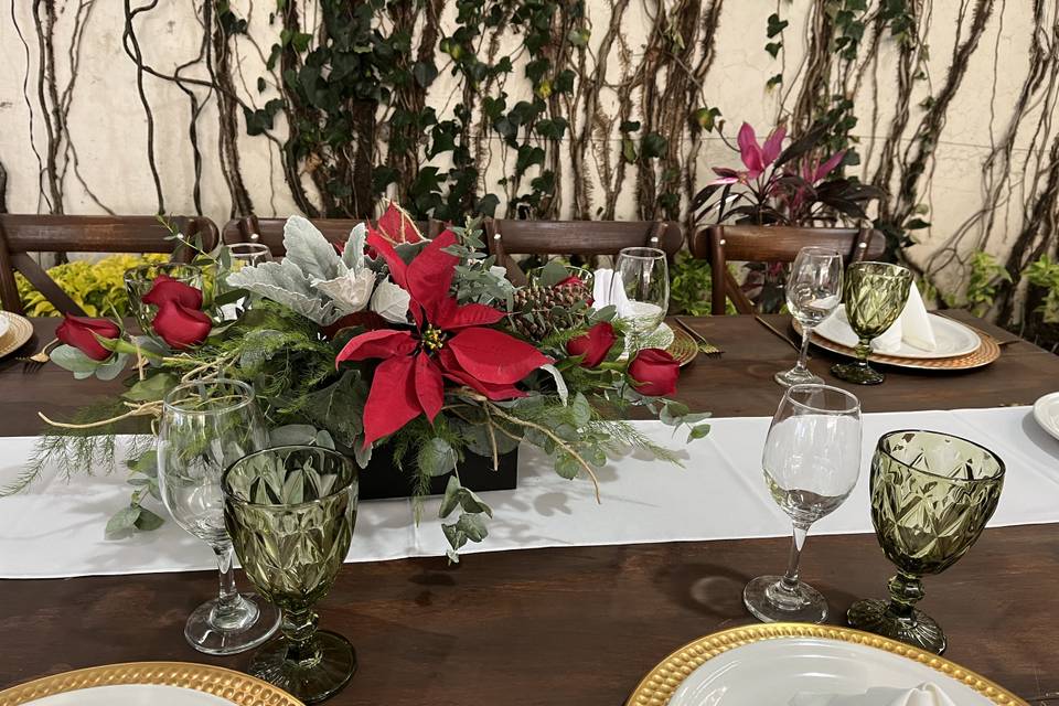 JARDIN CASA MORENO